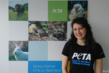 PETA France milite pour les droits des animaux et contre l’exploitation animale